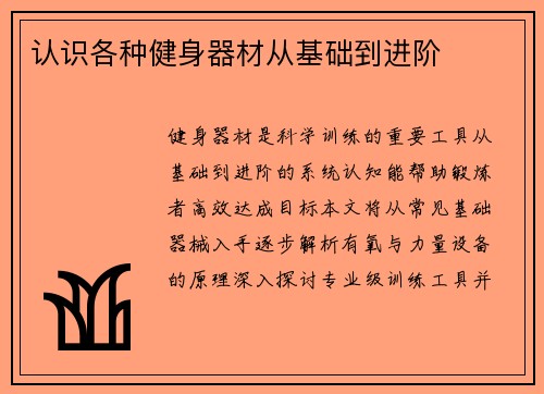 认识各种健身器材从基础到进阶